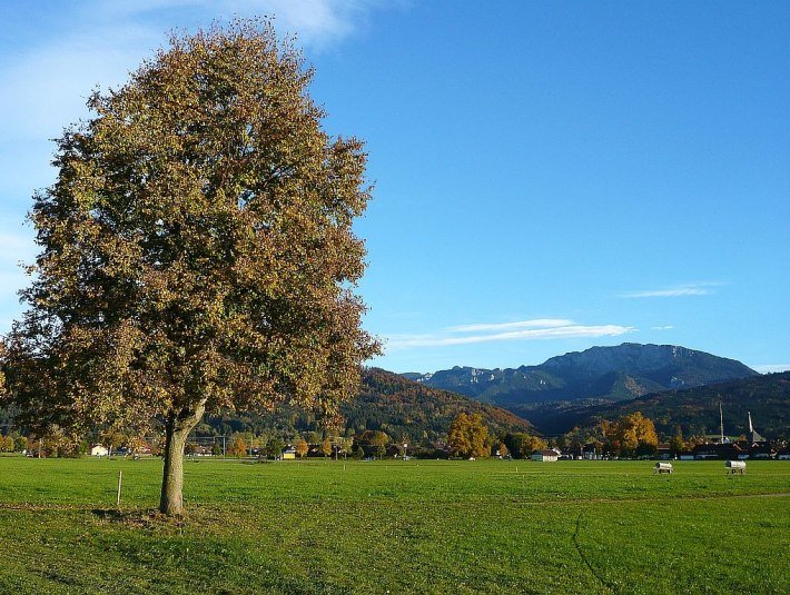Wiesenweg nach Benediktbeuern, &copy; G&auml;steinformation Benediktbeuern