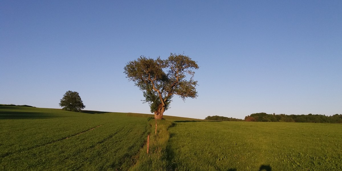 Wiesenlandschaft beim Rothenhof/Münsing, © Tölzer Land Tourismus