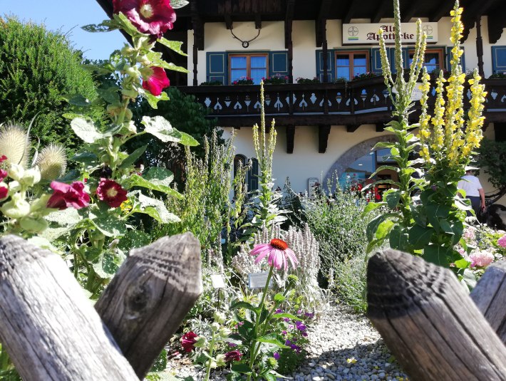 Im Herzen des Bergdorfes Lenggries zu F&uuml;&szlig;en des Brauneck liegt der liebevoll angelegte Apothekergarten von Eva L&ouml;hle - Gartenschilder zeigen welche Heilpflanzen auch in der Medizin genutzt werden. Zaunguckerlgarten 9 (2020), &copy; T&ouml;lzer Land Tourismus|J. Kirschenhofer