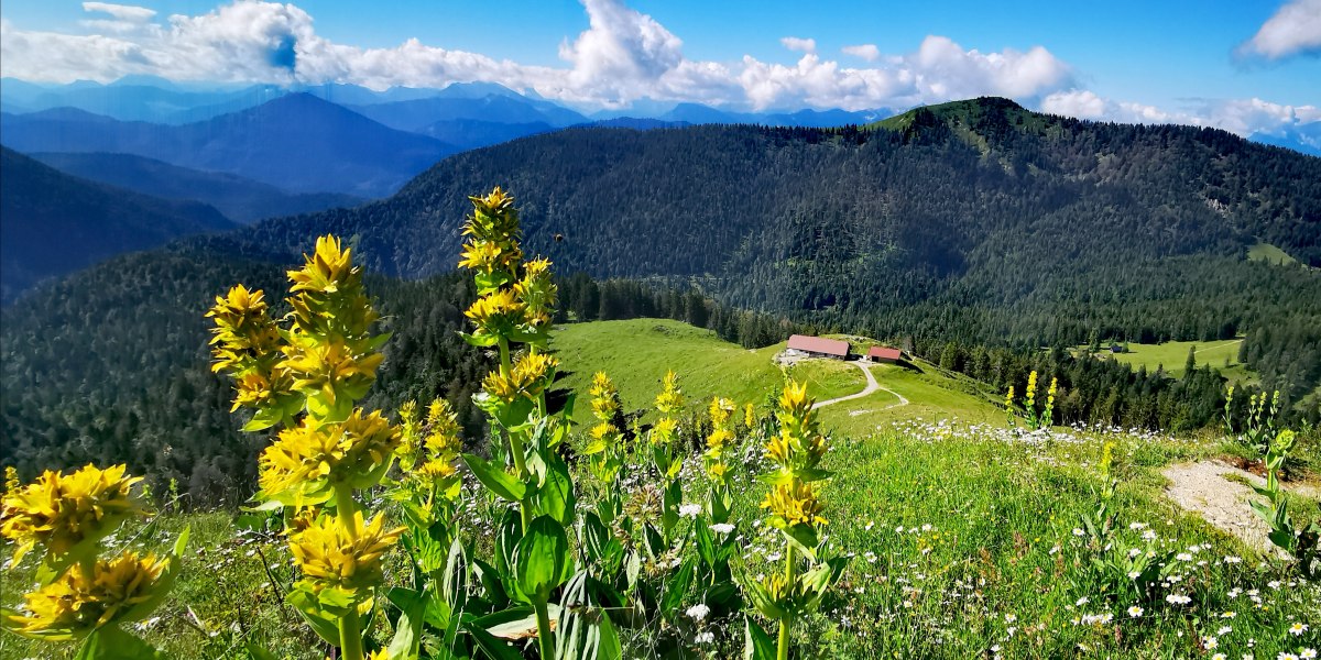 IMG_20200704_132455, &copy; G&auml;steinformation Jachenau