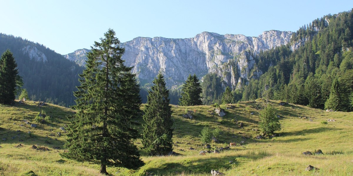 Eibelsfleck mit Benediktenwand, © Tölzer Land Tourismus