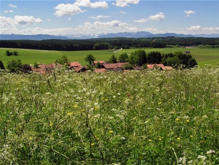 Zellbachtal bei Dietramszell, © Tölzer Land Tourismus