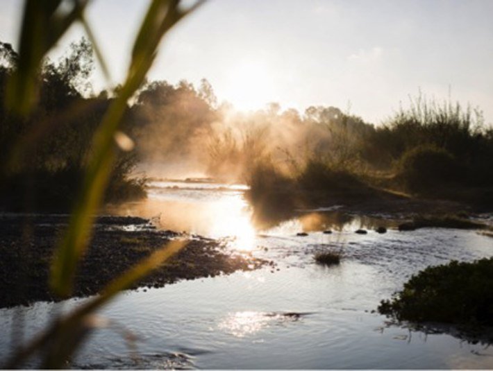 Morgenstimmung am Flussufer, &copy; Stadt Geretsried