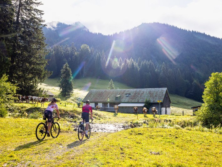 Zwei Personen mit dem Mountainbike radlen auf den Rossstein, © Tourismus Lenggries, Foto: A. Greiter