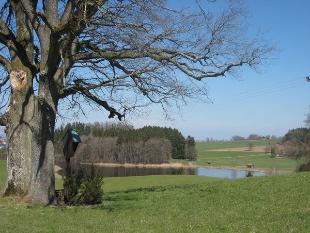 Weiher bei Sonderham, © Tölzer Land Tourismus