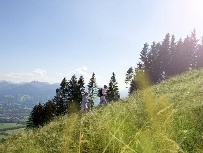 Sonniger Almweg, © Stadt Bad Tölz
