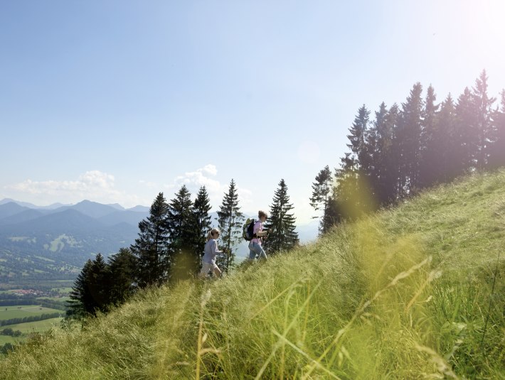 Sonniger Almweg, © Stadt Bad Tölz