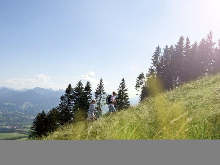 Sonniger Almweg, © Stadt Bad Tölz