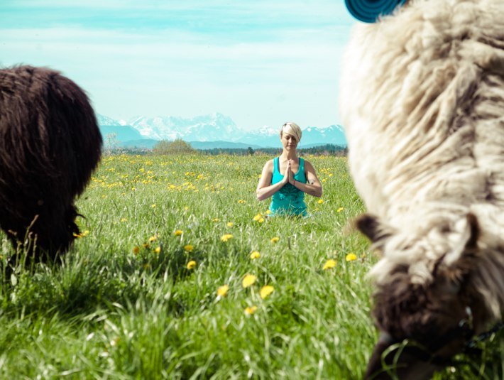 Lama-Yoga im T&ouml;lzer Land, &copy; Michaela Griesmann / Foto Max Garhammer