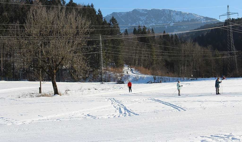 Loipe mit Benediktenwand im Hintergrund, &copy; T&ouml;lzer Land Tourismus