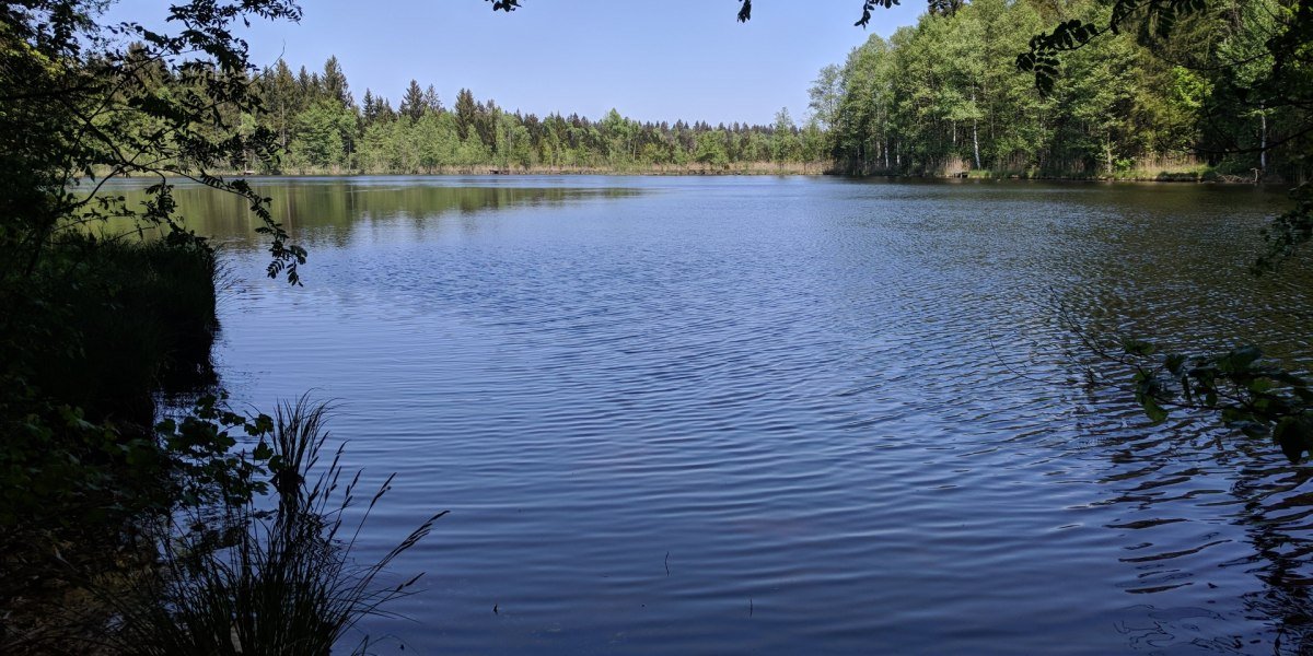 Holzweiher nahe Promberg, &copy; Stadt Wolfratshausen