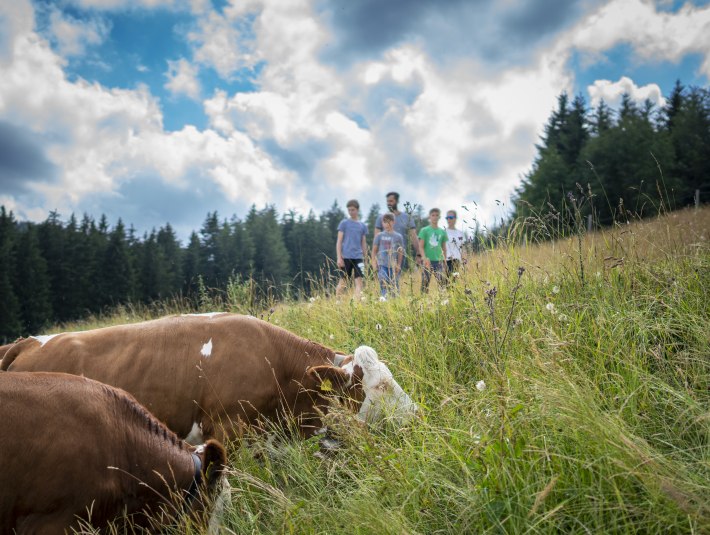 Blomberg, &copy; Stadt Bad T&ouml;lz