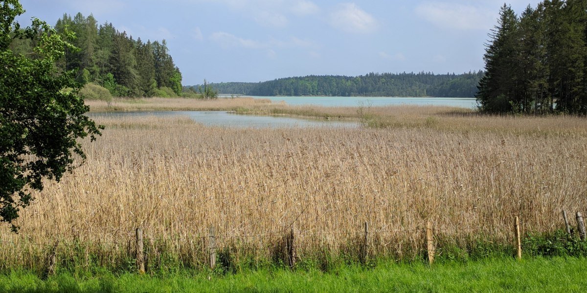 Osterseen, &copy; Stadt Wolfratshausen