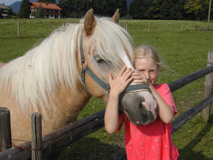 Kuscheln mit den Pfern, © Erharthof / Familie Lautenbacher