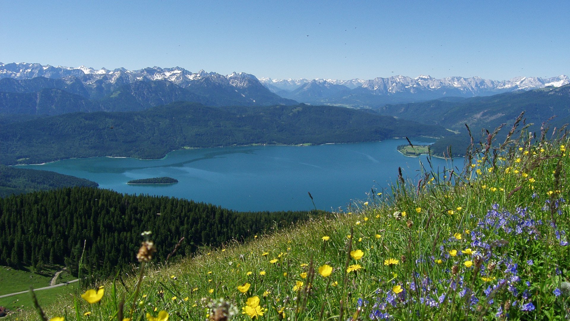 Almwiese mit Walchenseeblick, © TI Walchensee|Fotograf: Paul Wolf
