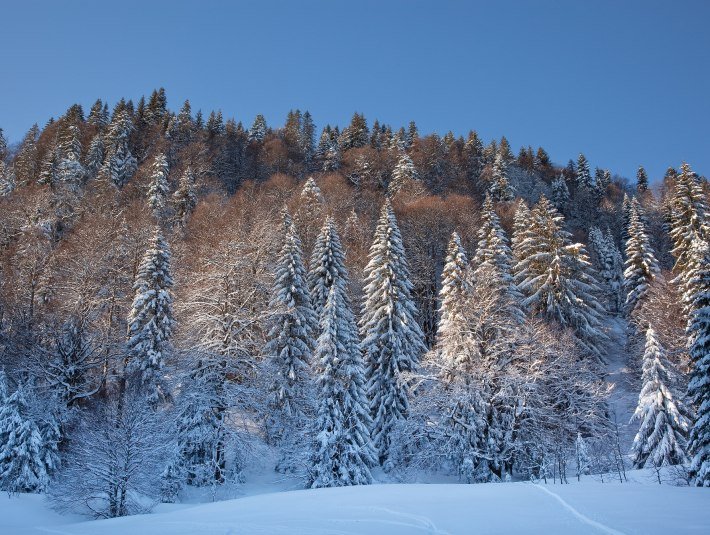 Winterlandschaft in Lenggries, © Tourismus Lenggries