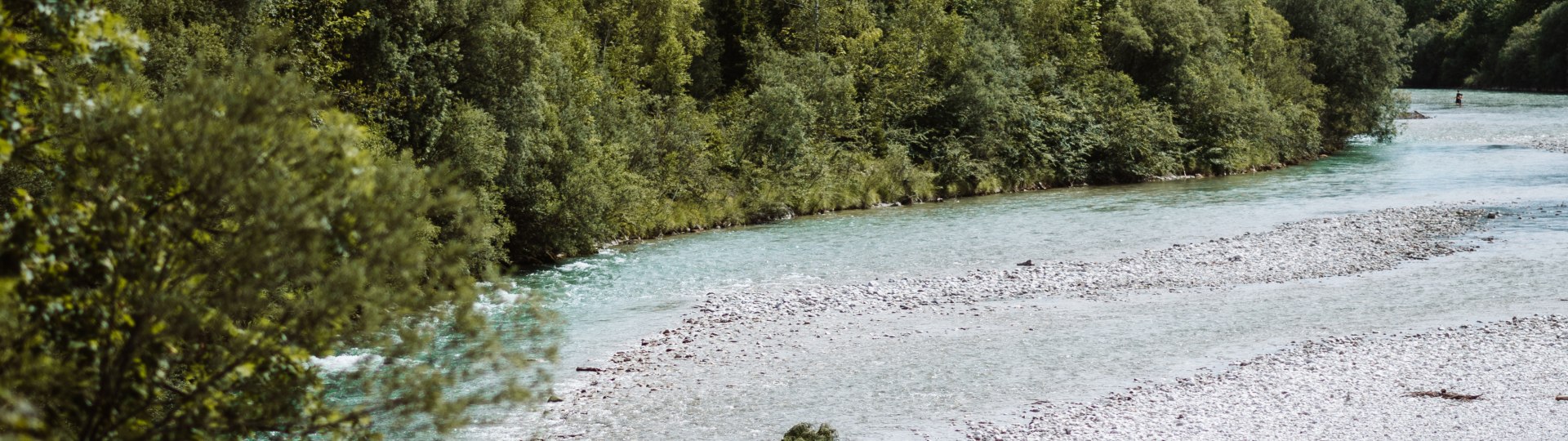 Isarauen, &copy; Leonie Lorenz