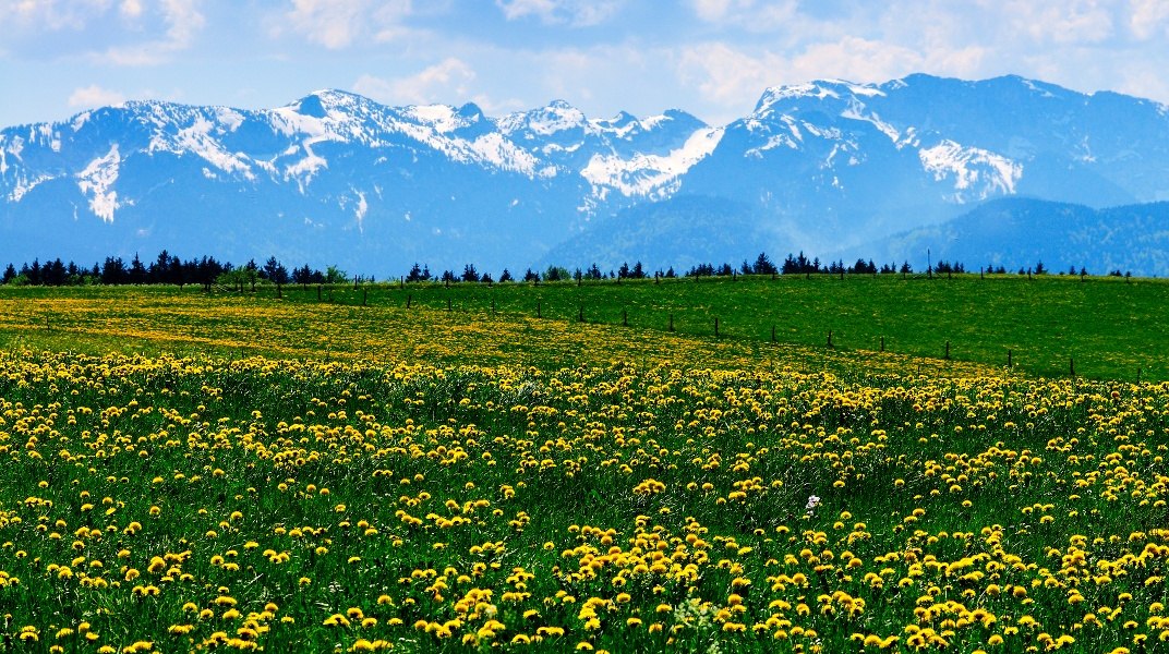 Ausblick auf die Berge, © Hirz