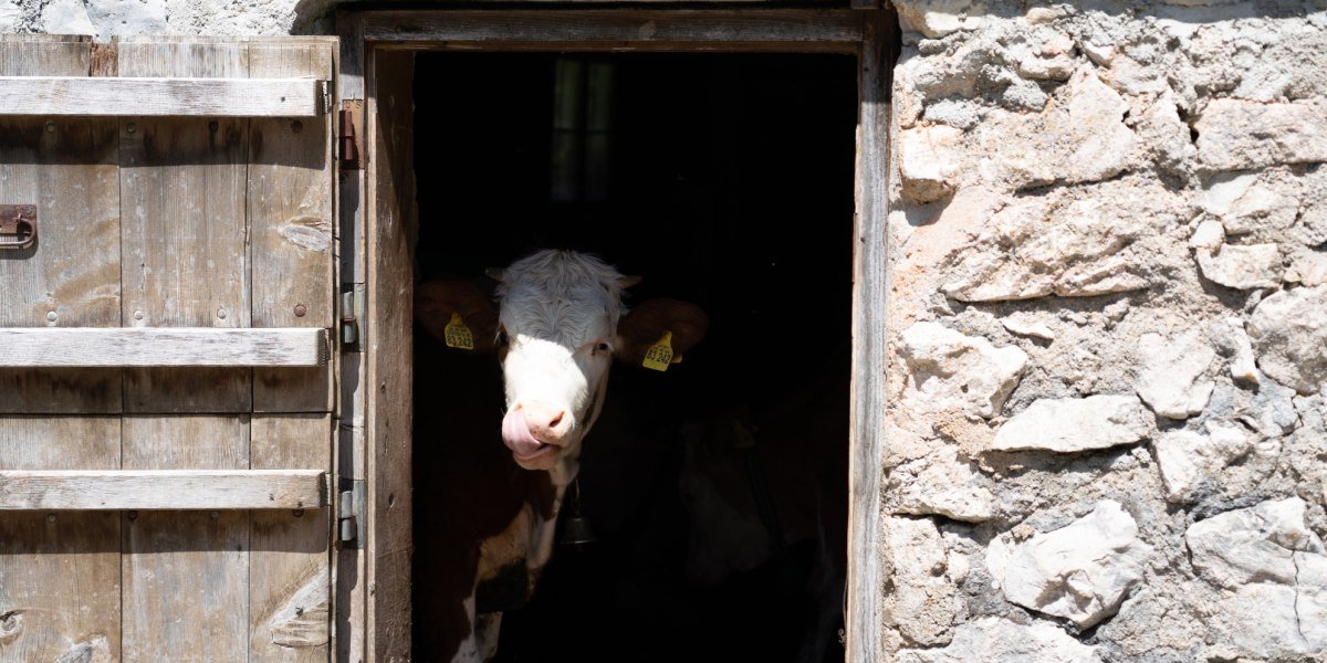 In den Spuren der Schatzsucher auf die Probstenwand, &copy; Fakult&auml;t f&uuml;r Tourismus - Hochschule M&uuml;nchen - Digitales Marketing & Management