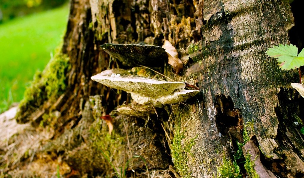 Einsiedl über Fuchsloch, © Tölzer Land Tourismus