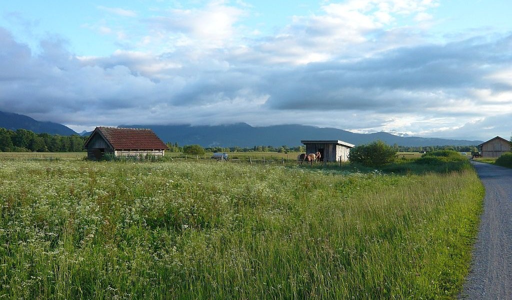 im Loisach-Kochelsee-Moor, © Tölzer Land Tourismus