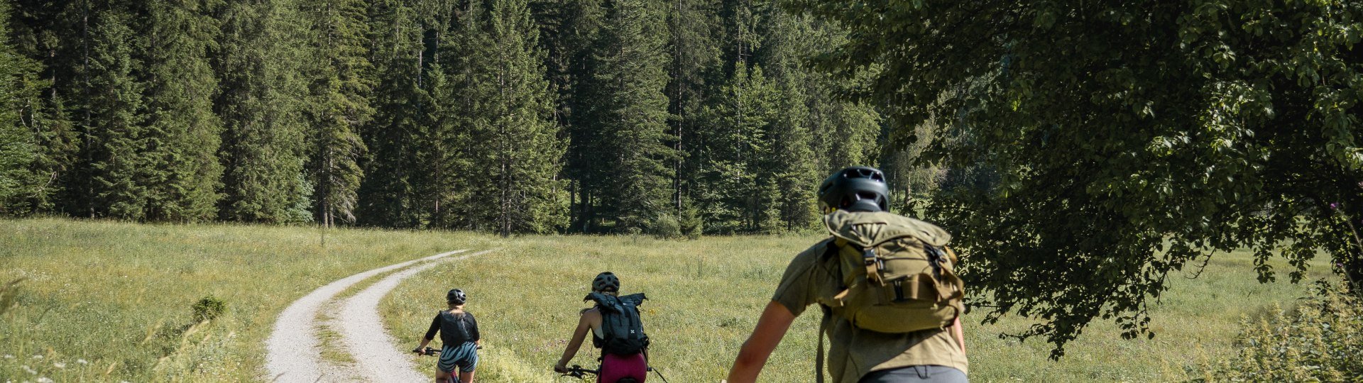 drei Radfahrer fahren auf eine Lichtung, © Teresa Kimmel