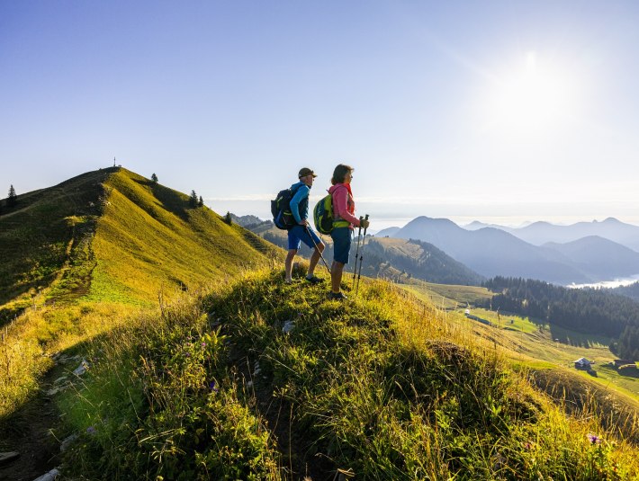 Zwei Wanderer stehen am Berg, der in warmes Licht getaucht ist und das Gras golden schimmer l&auml;sst. Die Wanderer blicken &uuml;ber die Almwiesen auf die Weite vor sich mit blauem Himmel &uuml;ber sich., &copy; Tourismus Lenggries|Adrian Greiter