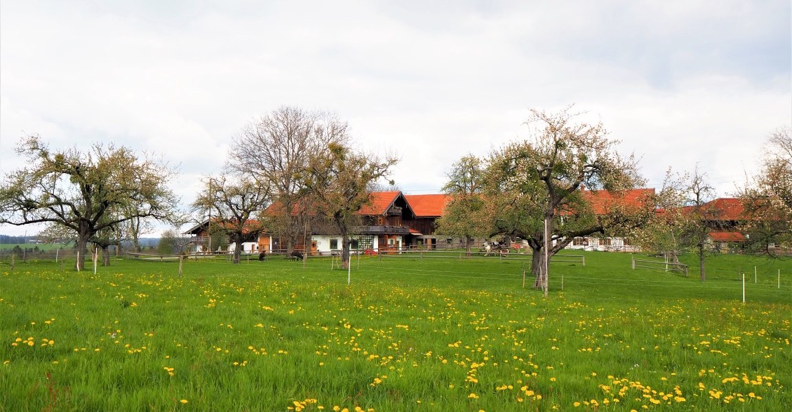 Bauernhof in Thal, &copy; Fakult&auml;t f&uuml;r Tourismus - Hochschule M&uuml;nchen - Digitales Marketing & Management