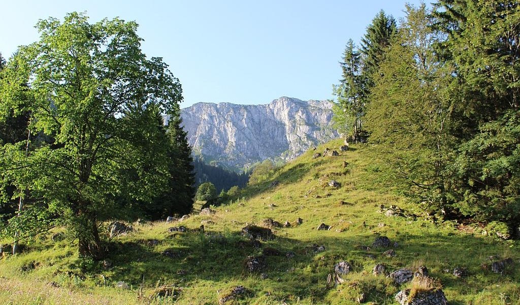 Am Eibelsfleck, &copy; G&auml;steinformation Benediktbeuern