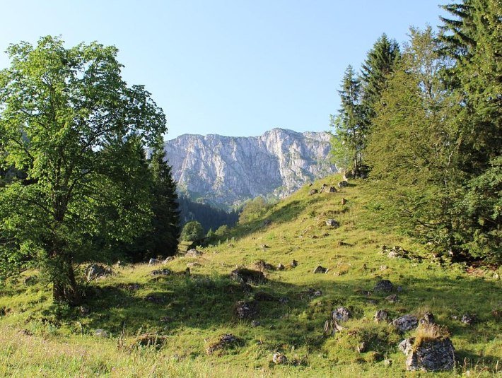 Am Eibelsfleck, © Gästeinformation Benediktbeuern