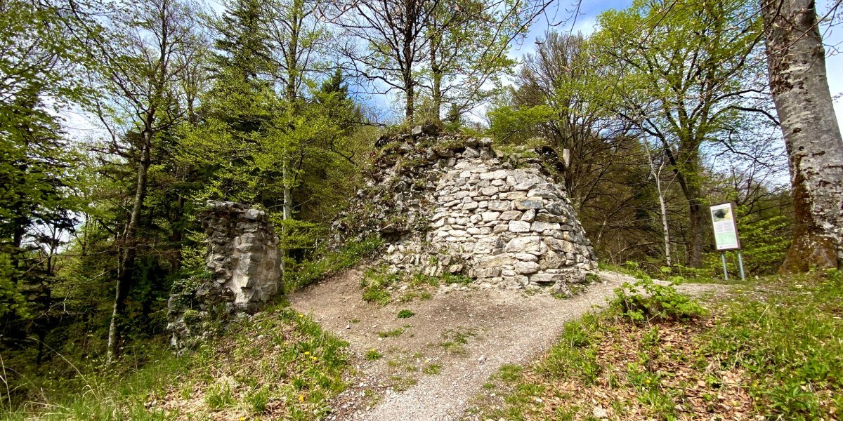 Direktansicht der Ruine, © Fakultät für Tourismus - Hochschule München - Digitales Marketing & Management