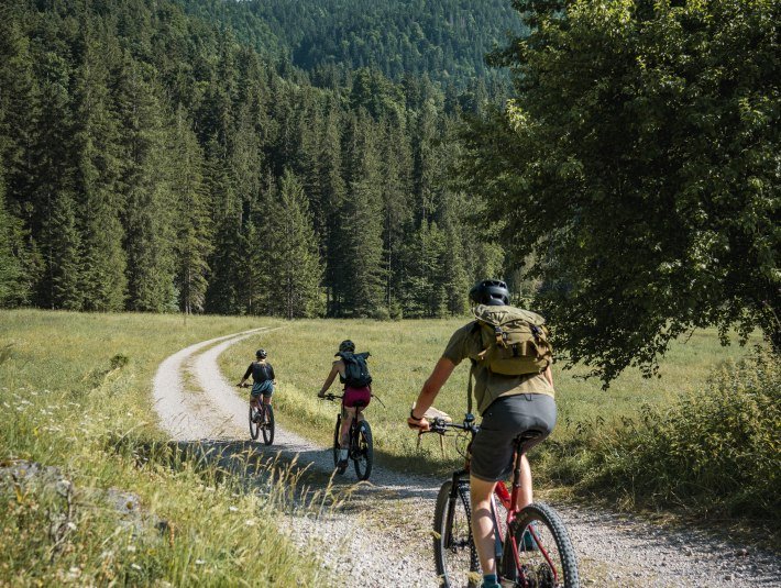 drei Radfahrer fahren auf eine Lichtung, © Teresa Kimmel