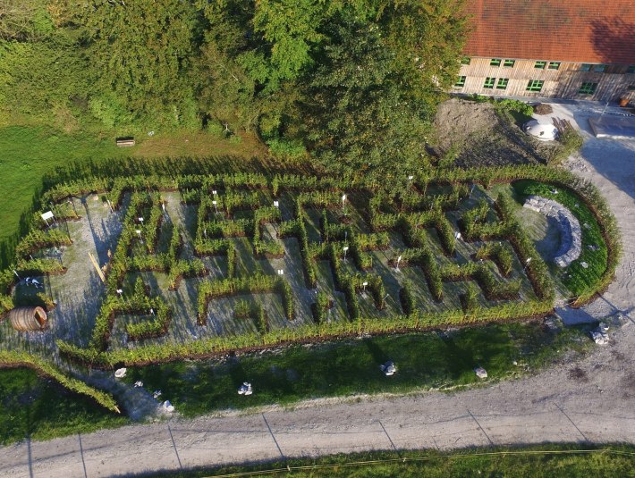 Das Labyrinth in Form eines menschlichen Fußabdruckes aus der Vogelperspektive, © Fussabdruck Königsdorf|Fotograf: Matthäus Krinner