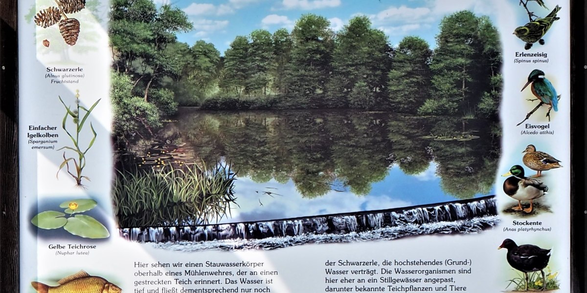 Isarradweg Informationstafel "Gestauter Flussabschnitt", © Fakultät für Tourismus - Hochschule München - Digitales Marketing & Management