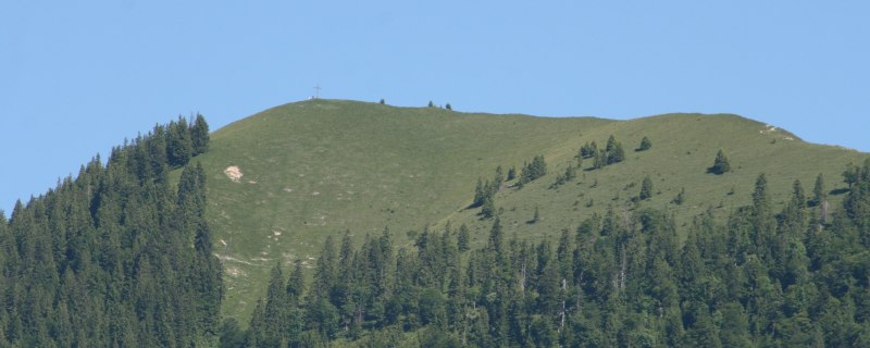 Hirschh&ouml;rndlkopf, &copy; T&ouml;lzer Land Tourismus