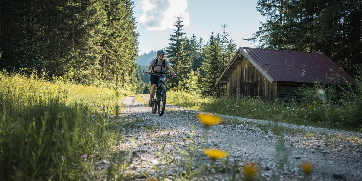 Radfahrerin auf Forststraße, © Teresa Kimmel