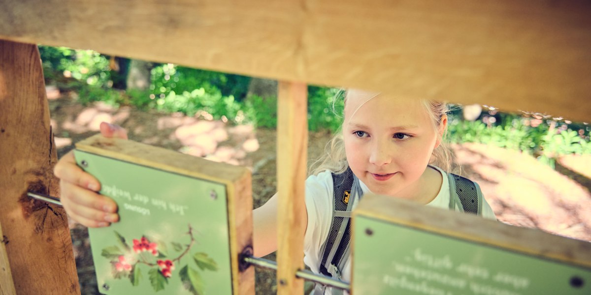 {8fdc7230-01b6-3b31-2dd4-e91dc89403b3}, © Stadt Wolfratshausen