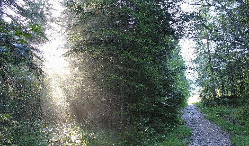 Weg zum Eibelsfleck, &copy; G&auml;steinformation Benediktbeuern