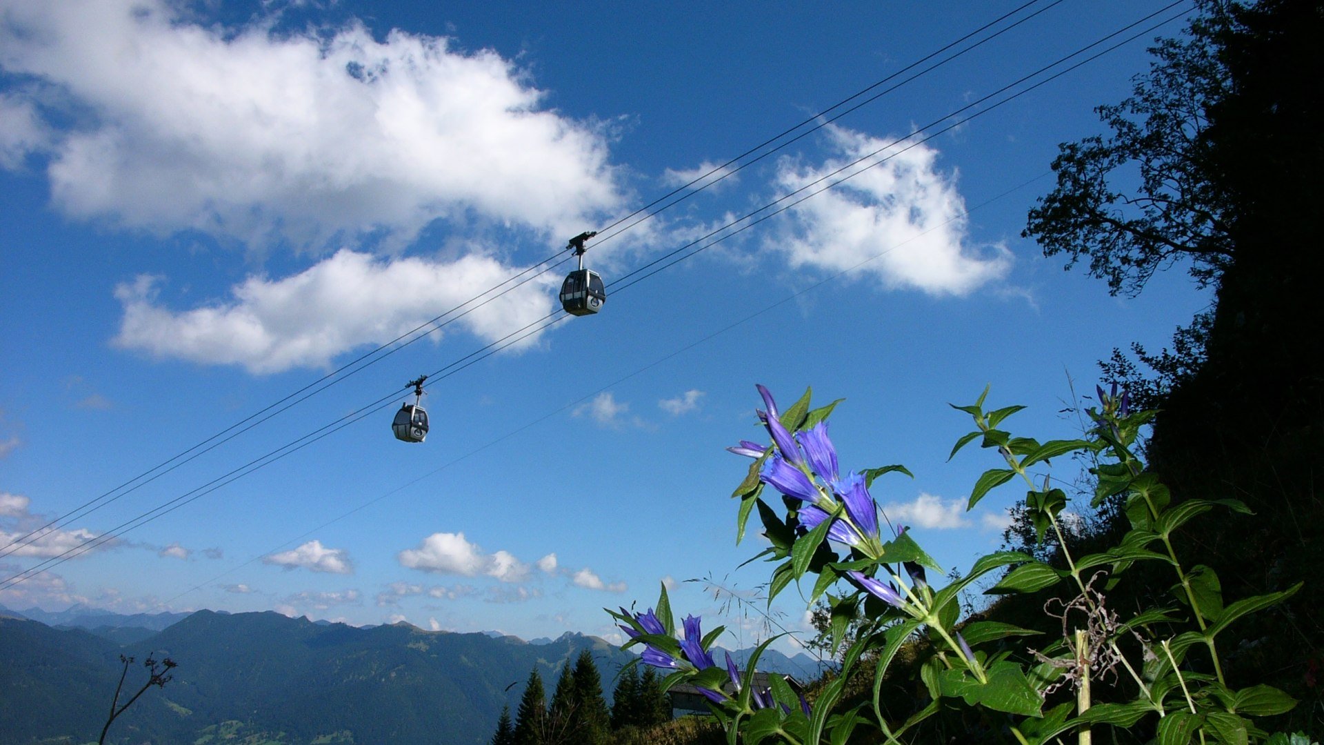Brauneck Bergbahn, &copy; Brauneck Bergbahn | Foto Klaus Knirk