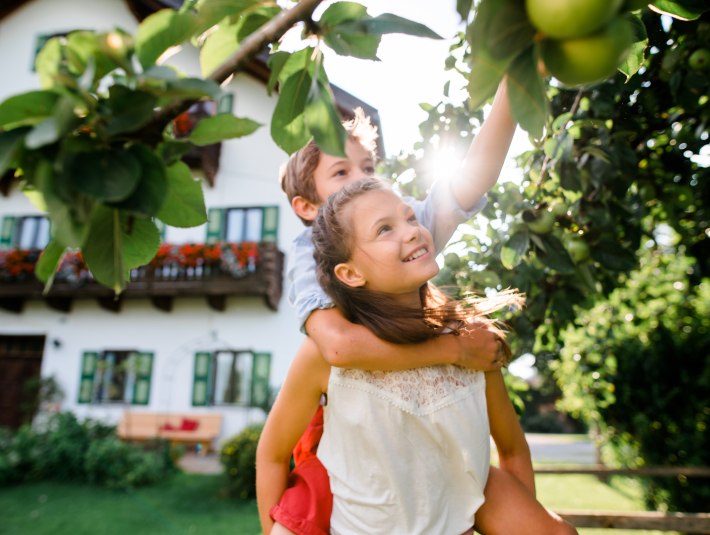 Kinder beim &Auml;pfel pfl&uuml;cken, &copy; T&ouml;lzer Land Tourismus Foto: Leonie Lorenz
