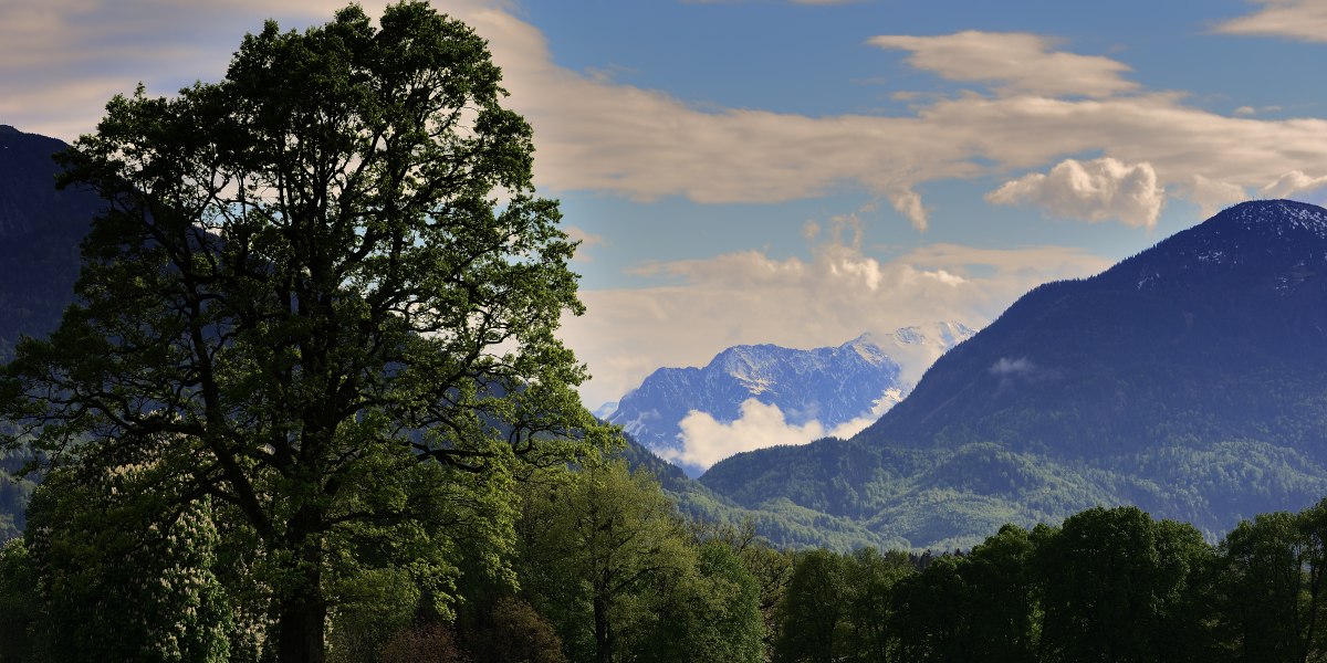 Bergwiesen, Panorama, Bergkette, Wiesen, © Stadt Bad Tölz