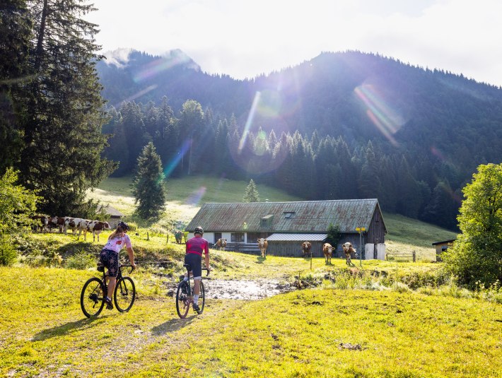 Zwei Personen mit dem Mountainbike radlen auf den Rossstein, &copy; Tourismus Lenggries, Foto: A. Greiter