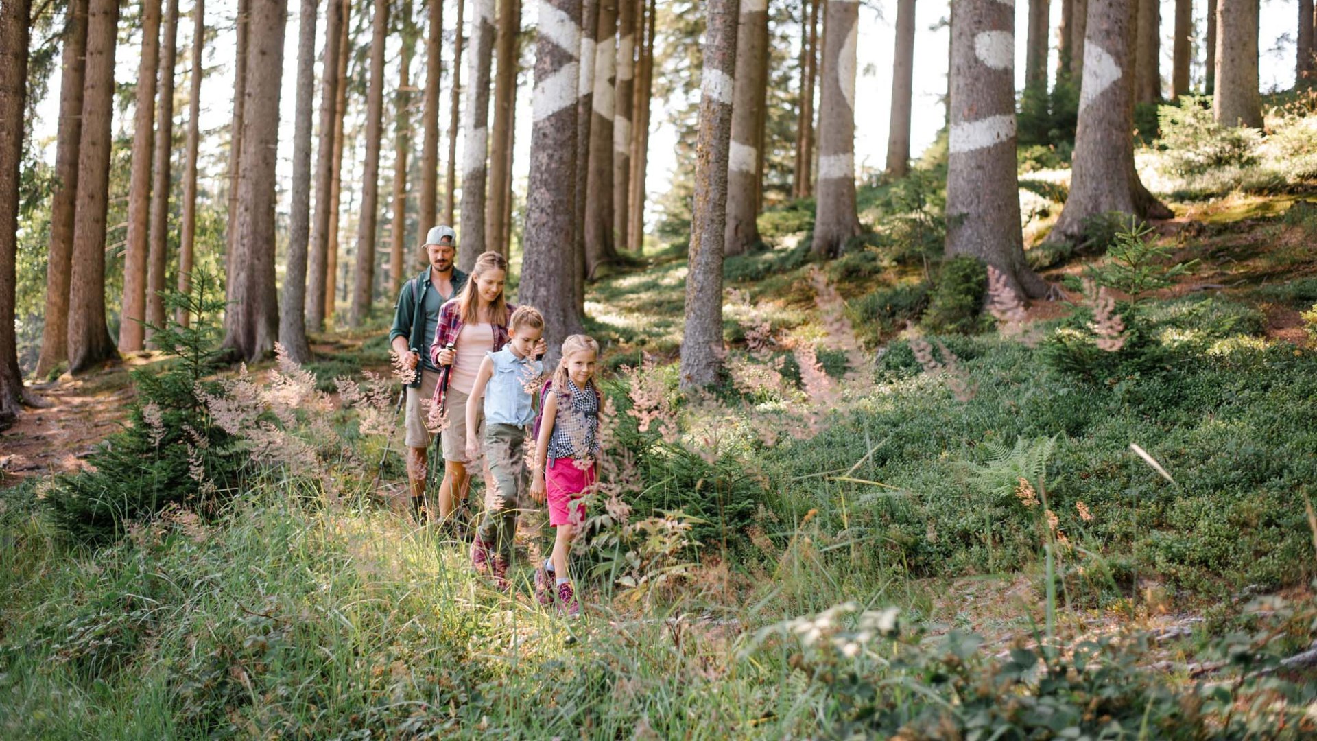 Kunstwanderweg Sinneswandel, &copy; T&ouml;lzer Land Tourismus / Foto Leonie Lorenz