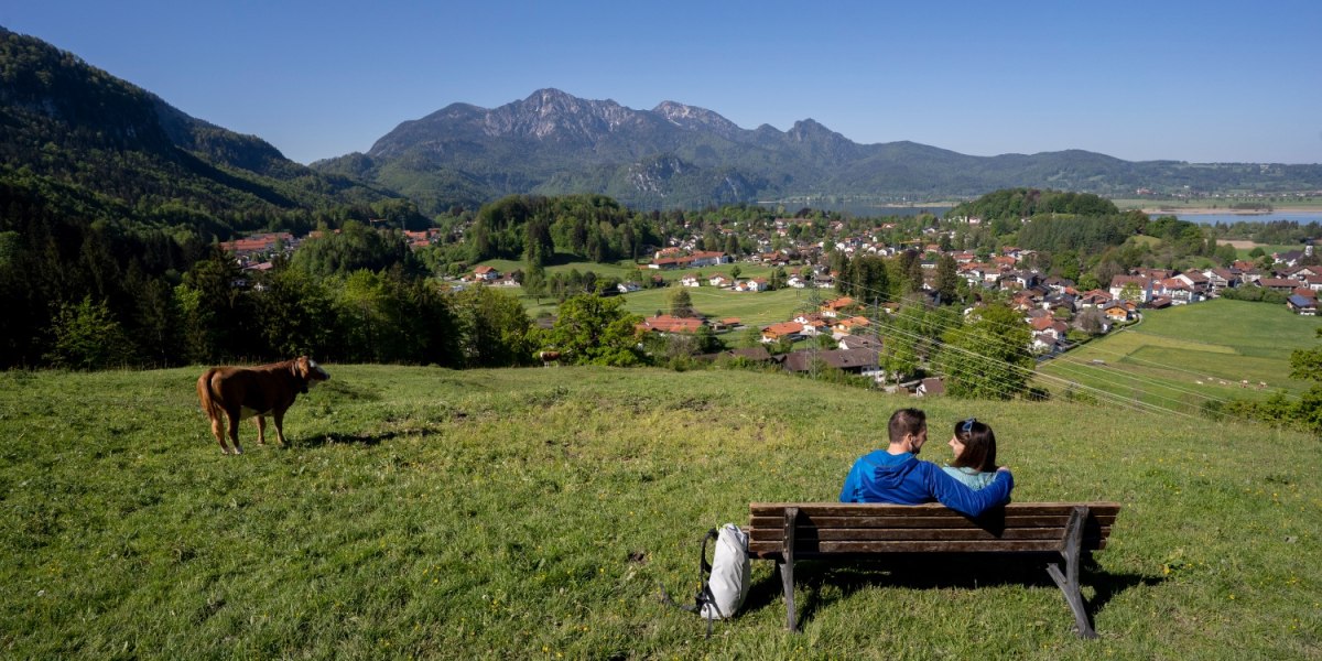 Aussichtspunkt Kohlleite mit Blick &uuml;ber Kochel a. See, &copy; Tourist Information Kochel a. See