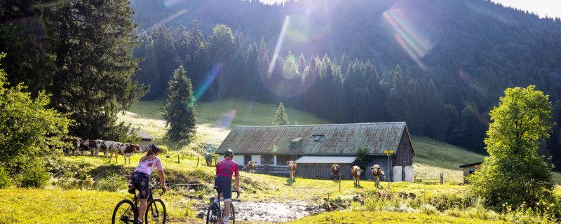 Zwei Personen mit dem Mountainbike radlen auf den Rossstein, &copy; Tourismus Lenggries, Foto: A. Greiter