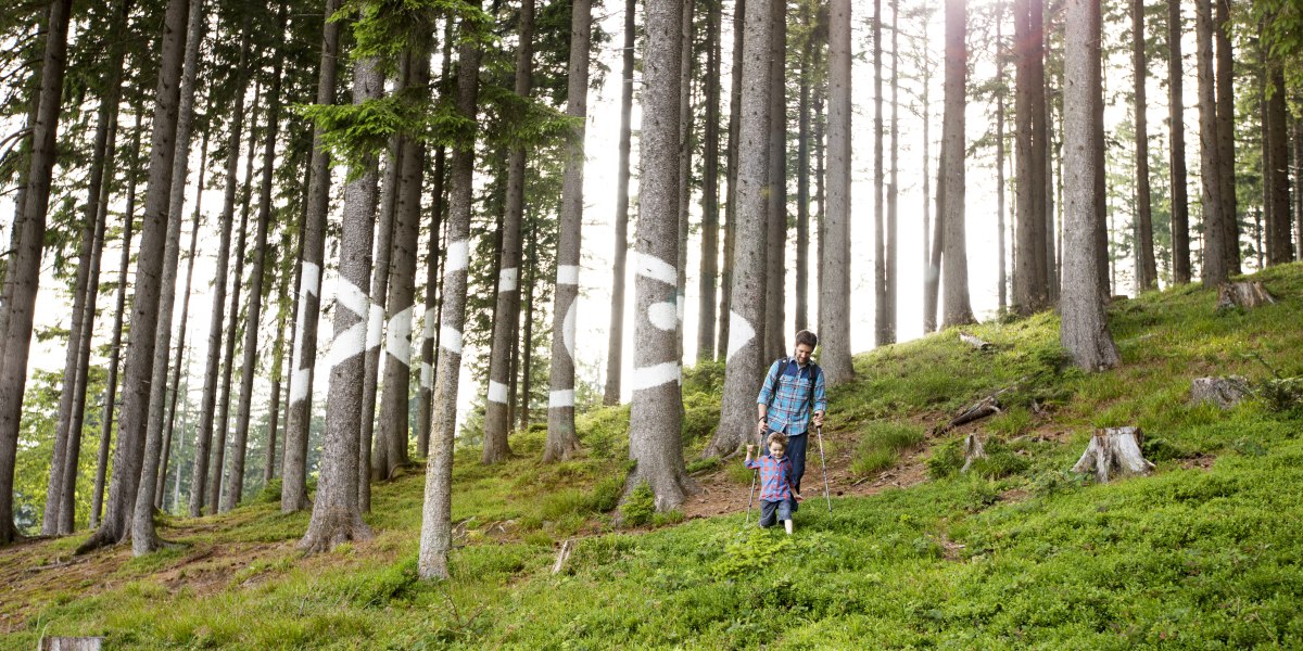 kunstwanderweg-blomberg
