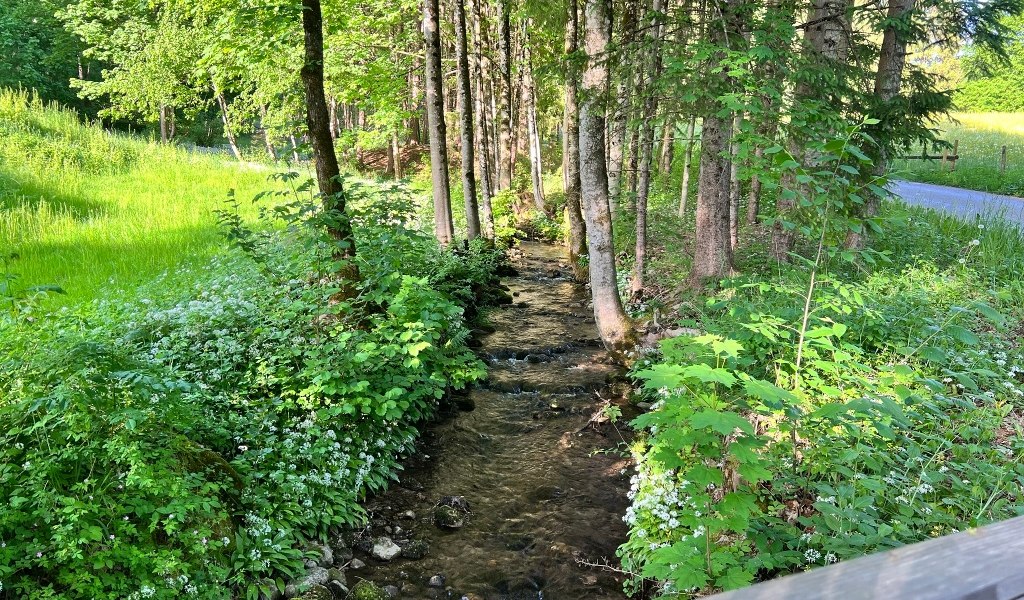 Großes Vergnügen für kurze Beine - Sagenhaftes Wandern, © Fakultät für Tourismus - Hochschule München - Digitales Marketing & Management