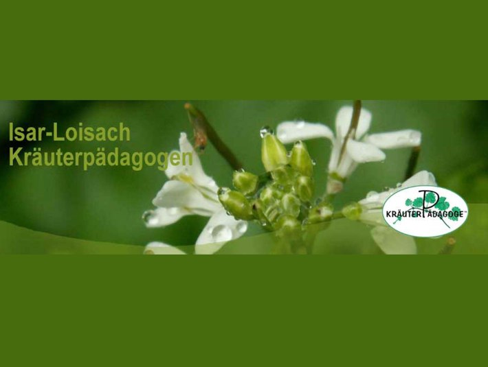 IG Isar-Loisach Kräuterpädagogen