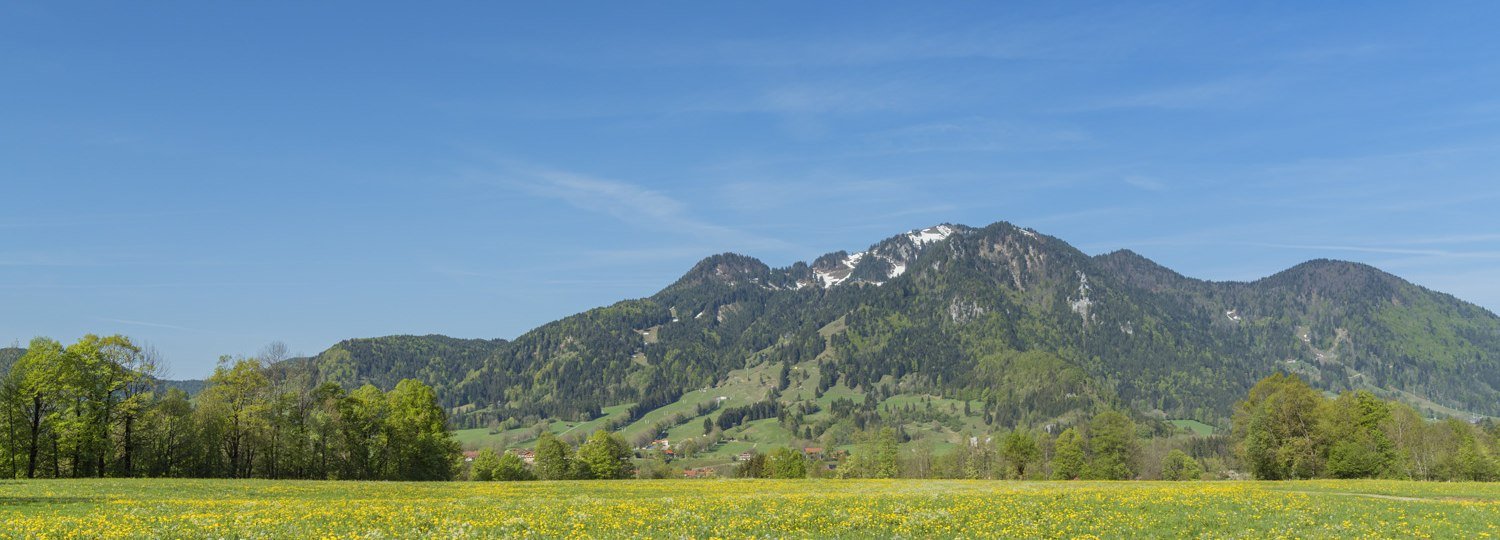 Brauneck mit Blumenwiese im Vordergrund., © Christian Bäck