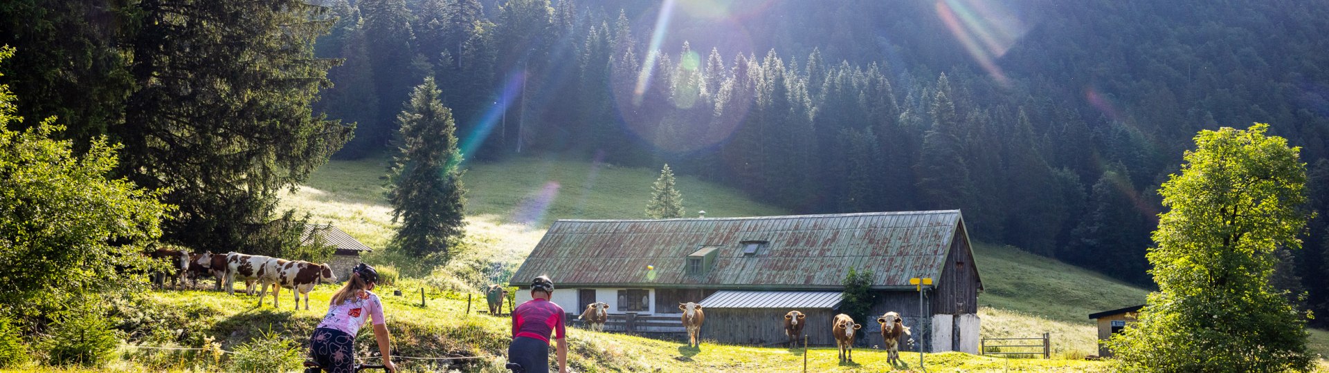 Zwei Personen mit dem Mountainbike radlen auf den Rossstein, © Tourismus Lenggries, Foto: A. Greiter